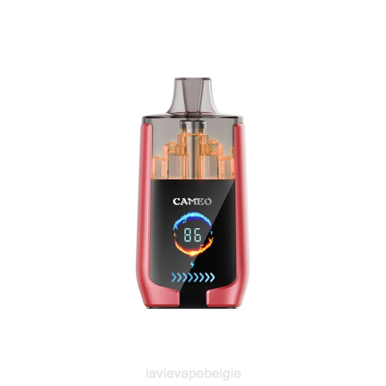 Buy LAVIE Vape - LAVIE CAMEO 30000 trekjes watermeloen ijs L0H614