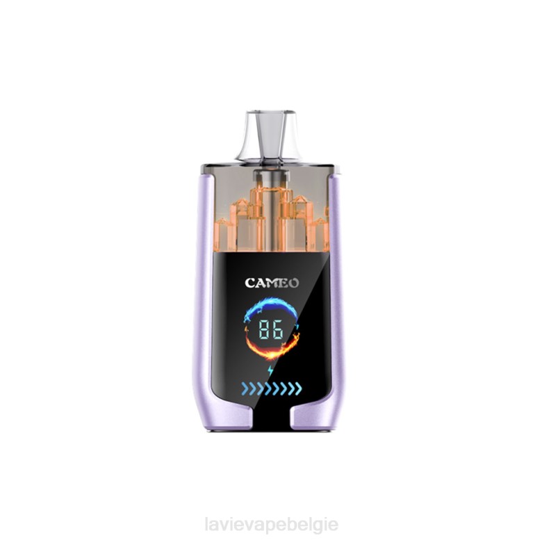 LAVIE Vape België - LAVIE CAMEO 30000 trekjes druiven ijs L0H616