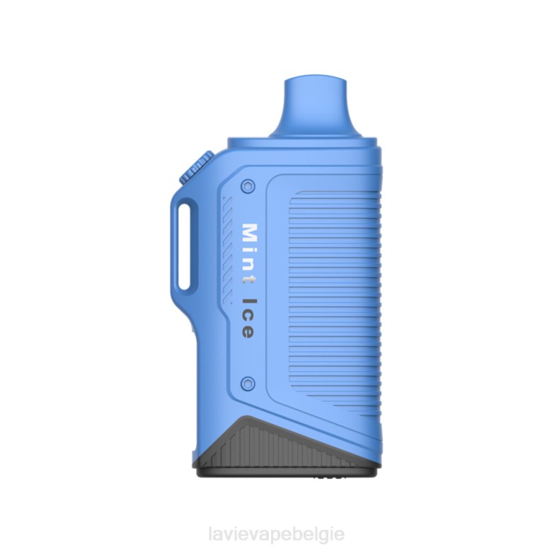 LAVIE Vape België - LAVIE Energy Box 15000 trekjes munt ijs L0H672