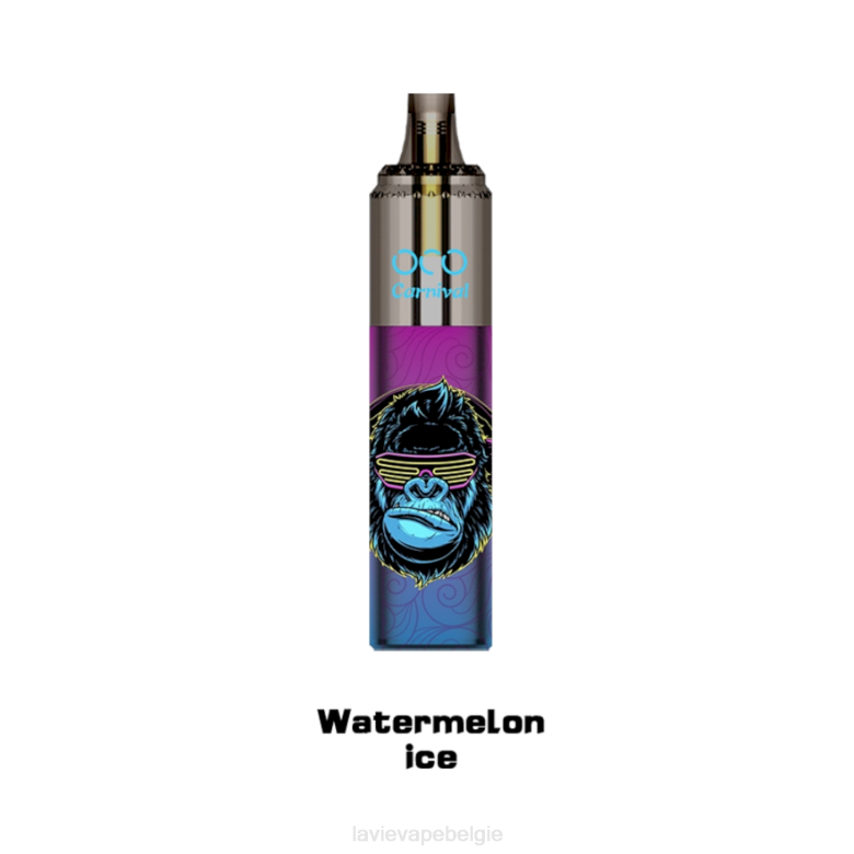 watermeloen ijs