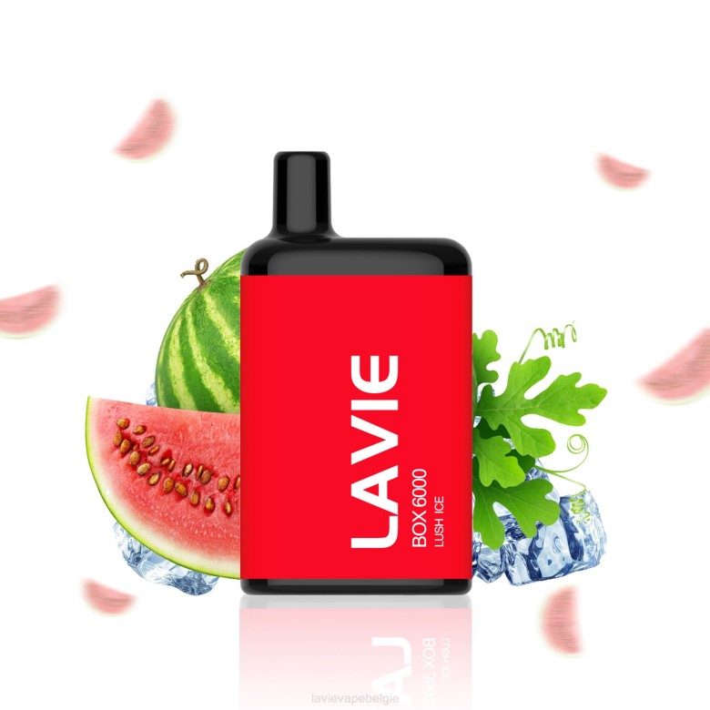 LAVIE Vape Brussel - LAVIE BOX 6000 trekjes weelderig ijs L0H6199