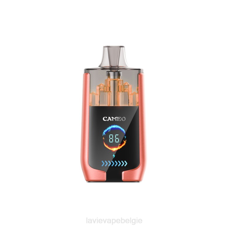 LAVIE Vape Brussel - LAVIE CAMEO 30000 trekjes aardbei watermeloen L0H624