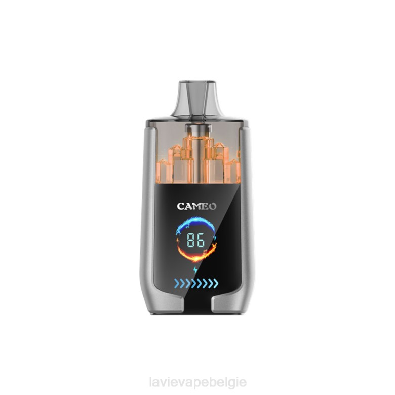LAVIE Vape Review - LAVIE CAMEO 30000 trekjes bosbessen ijs L0H615