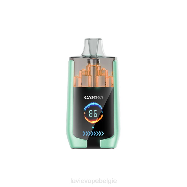LAVIE Vapes - LAVIE CAMEO 30000 trekjes dubbele appel L0H620