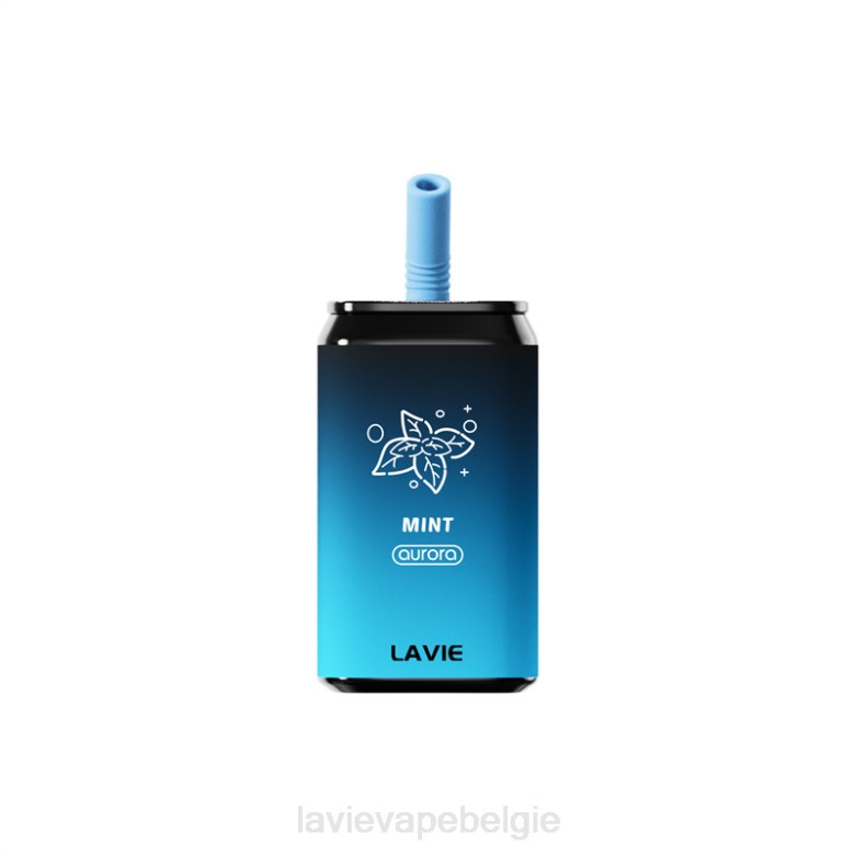 LAVIE Vapes Review - LAVIE Aurora 11000 trekjes munt L0H6145