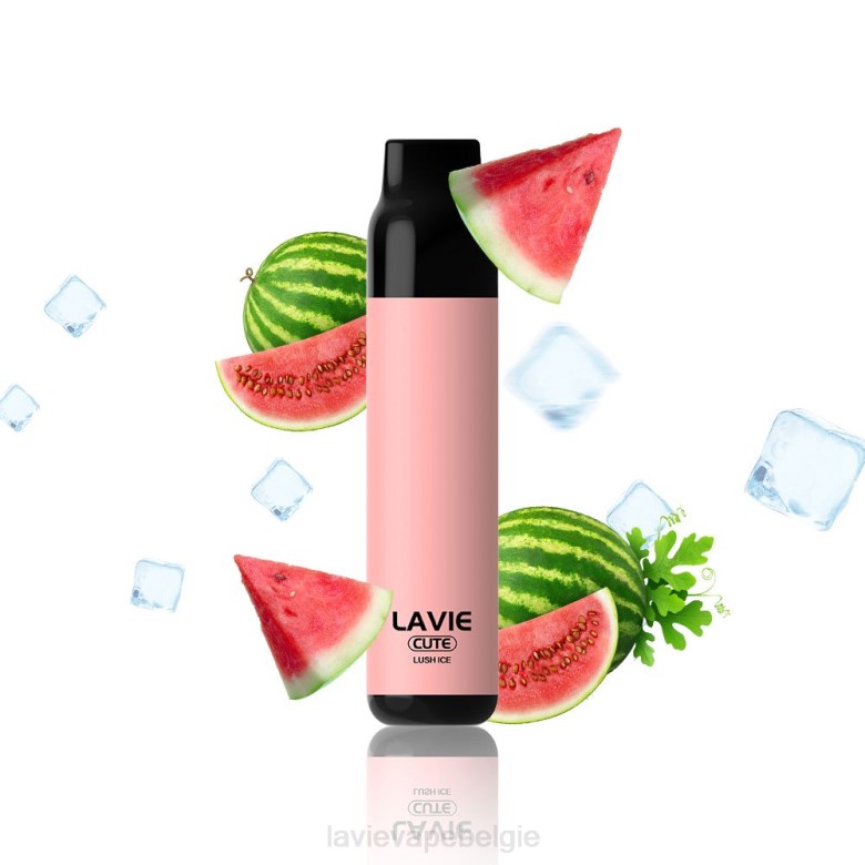 LAVIE Vapes Review - LAVIE BAR 3000 trekjes weelderig ijs L0H6285