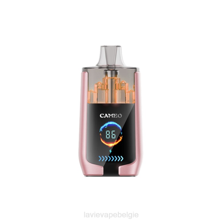 LAVIE Vapes Review - LAVIE CAMEO 30000 trekjes tropisch fruit L0H619