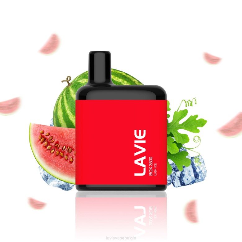 LAVIE Vape Review - LAVIE BOX 3500 trekjes weelderig ijs L0H6211