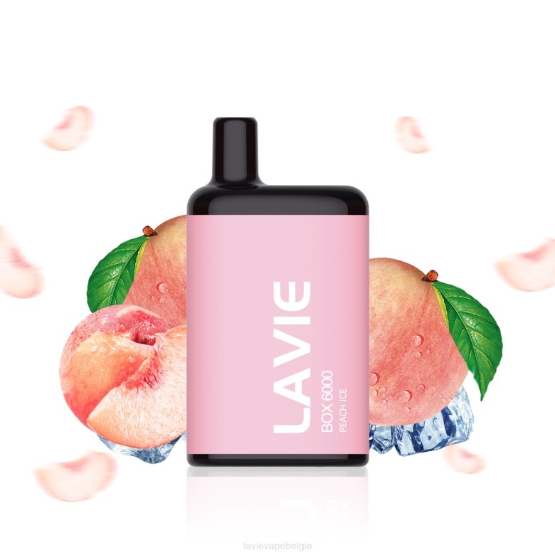 LAVIE Vape Price - LAVIE BOX 6000 trekjes perzik ijs L0H6200