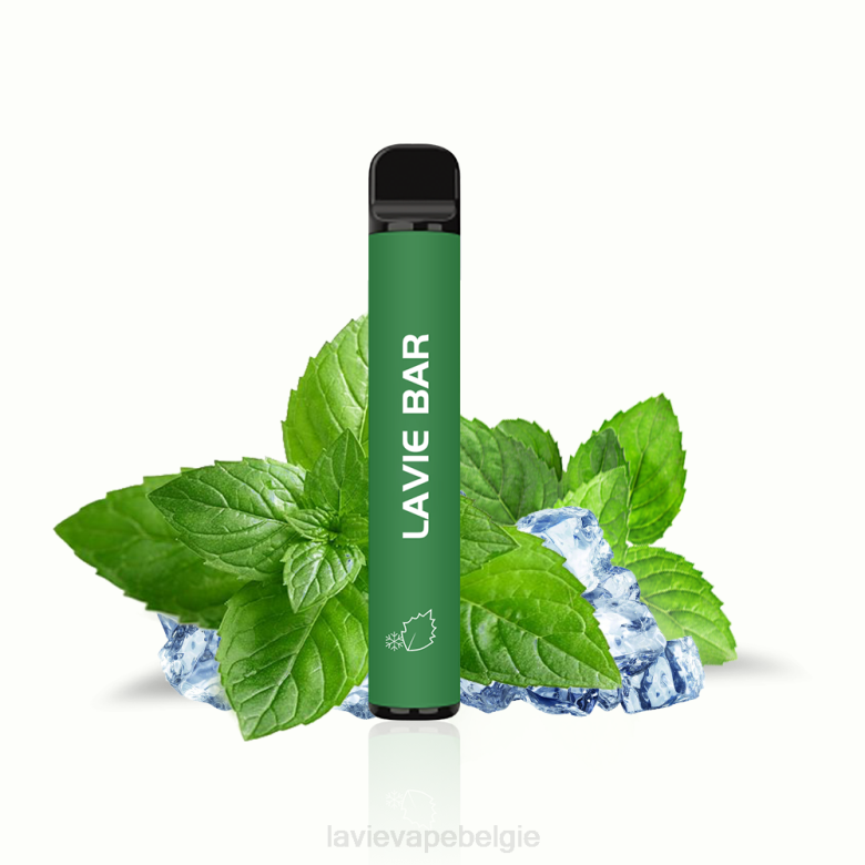 LAVIE Vapes Review - LAVIE BAR 2% versie 800 trekjes koele munt L0H6320